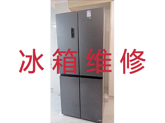 中山冰箱冰柜维修公司